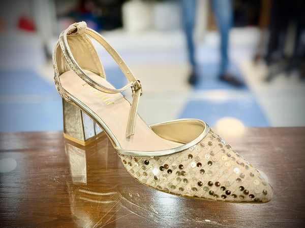Fancy Coat shoes